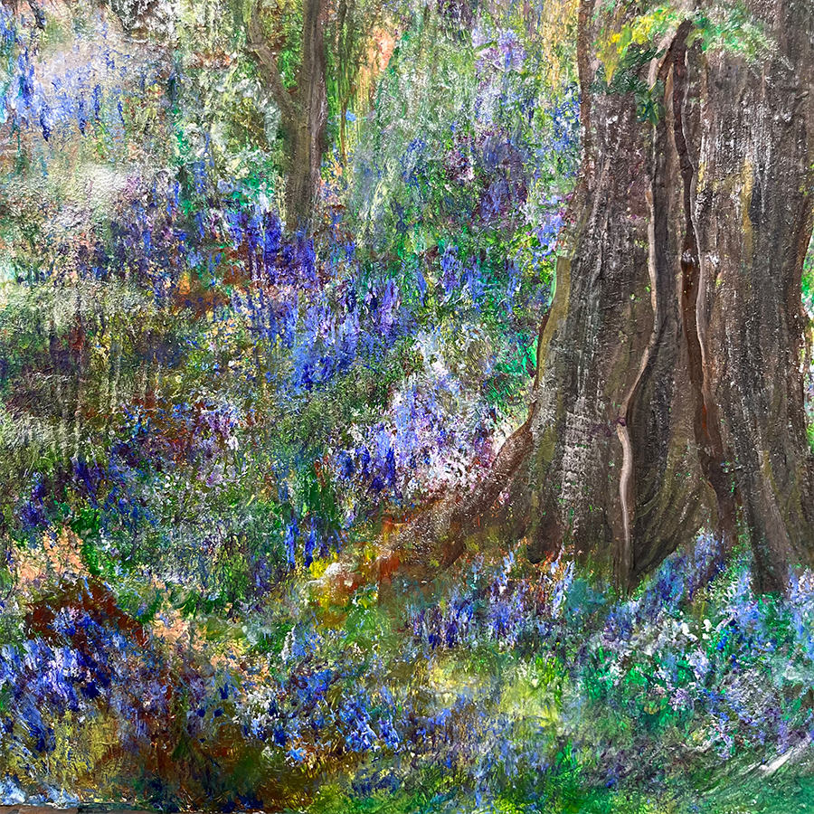 Skipton Castle Woods